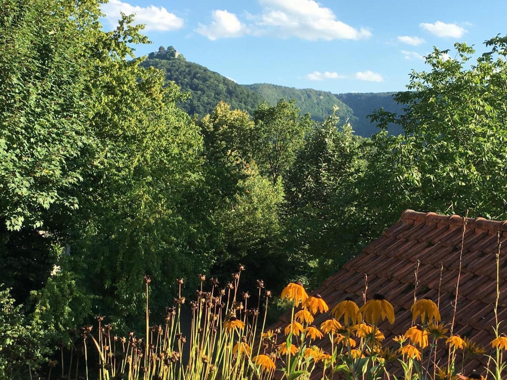 Haus Am Sonnenhuegel Appartement Bad Urach Buitenkant foto