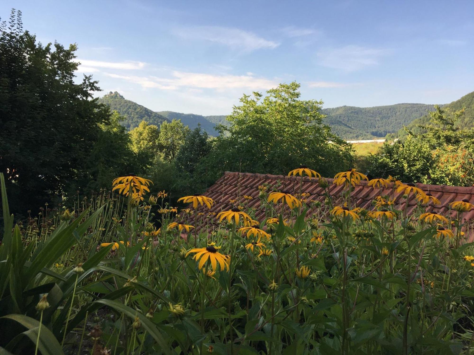 Haus Am Sonnenhuegel Appartement Bad Urach Buitenkant foto